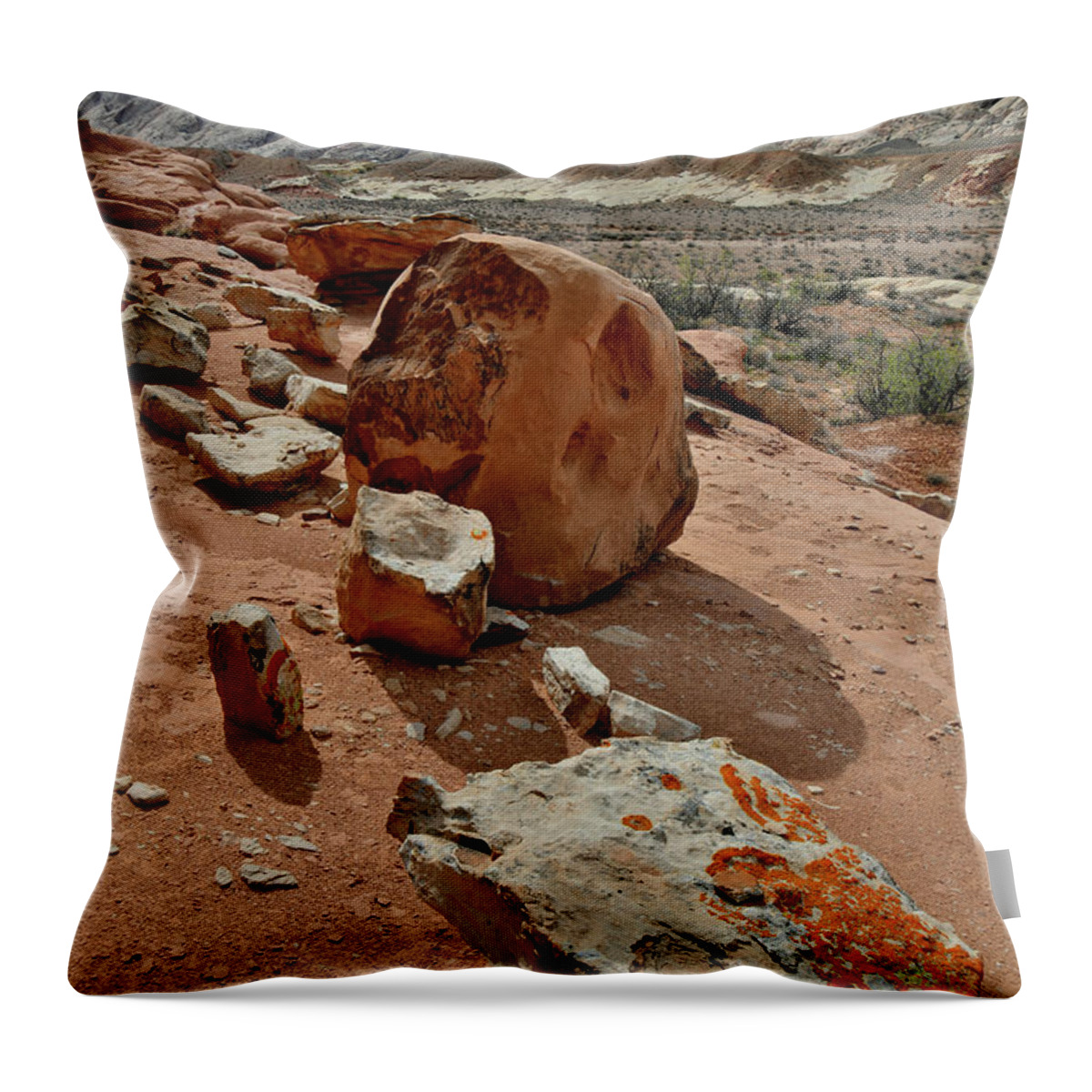 County Road 1028 Throw Pillow featuring the photograph Afternoon at San Rafael Swell by Ray Mathis