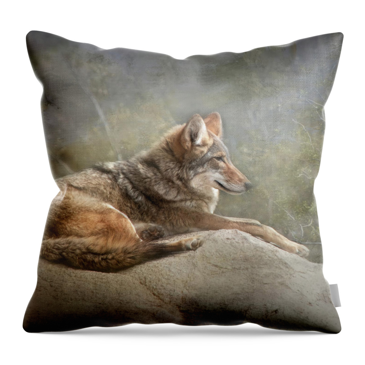 Coyote Throw Pillow featuring the photograph Afternoon Repose by Teresa Wilson