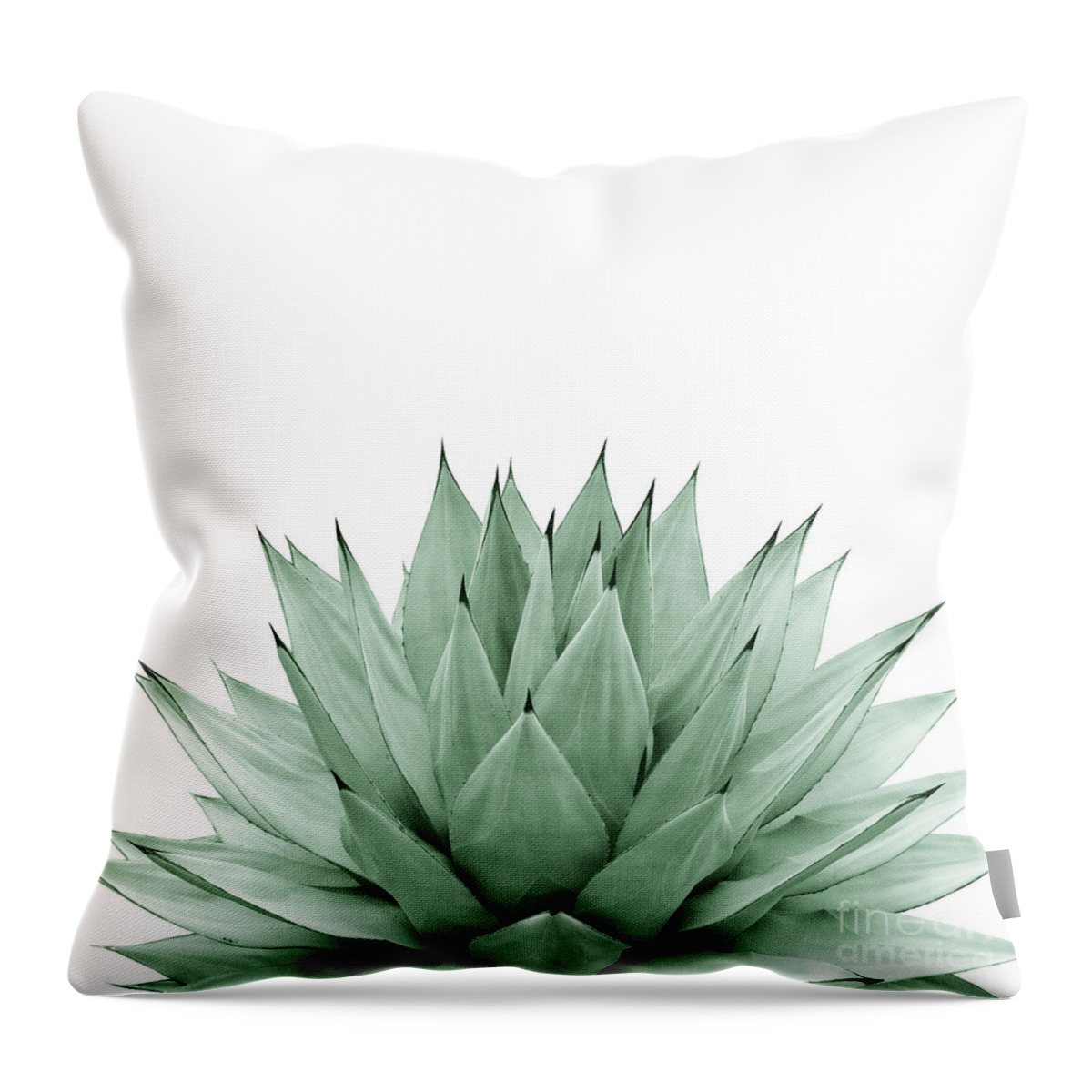 Color Throw Pillow featuring the mixed media Agave Green Summer Vibes #1 #tropical #decor #art by Anitas and Bellas Art