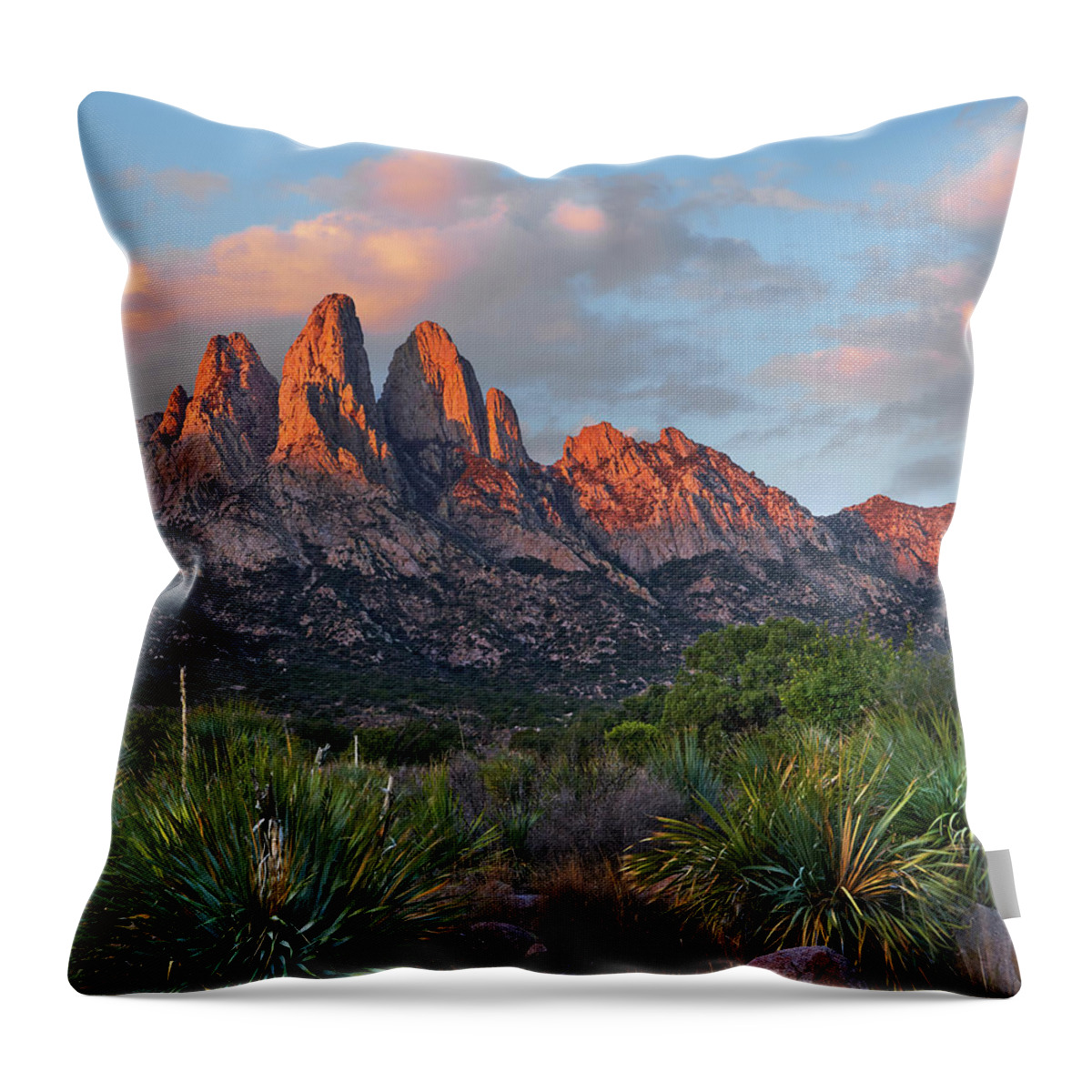 00557650 Throw Pillow featuring the photograph Agave, Organ Mts, Aguirre Spring Nra, New Mexico by Tim Fitzharris