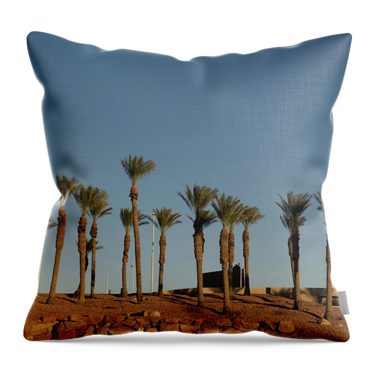 Tranquility Throw Pillow featuring the photograph Airport Palms by Aaron Mccoy