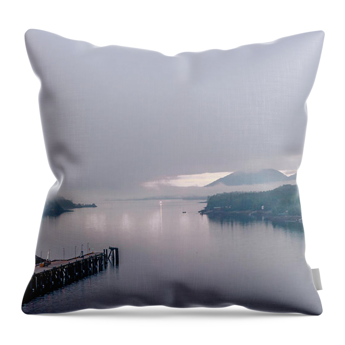 Wall Art Throw Pillow featuring the photograph Alaskan fog by Charles McCleanon