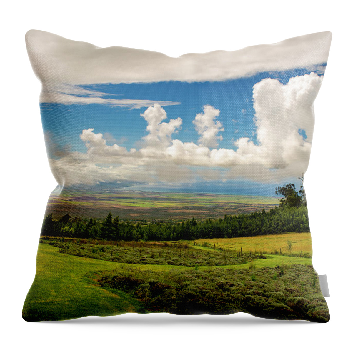 Alii Kula Lavender Throw Pillow featuring the photograph Alii Kula Lavender Farm by Jeff Phillippi