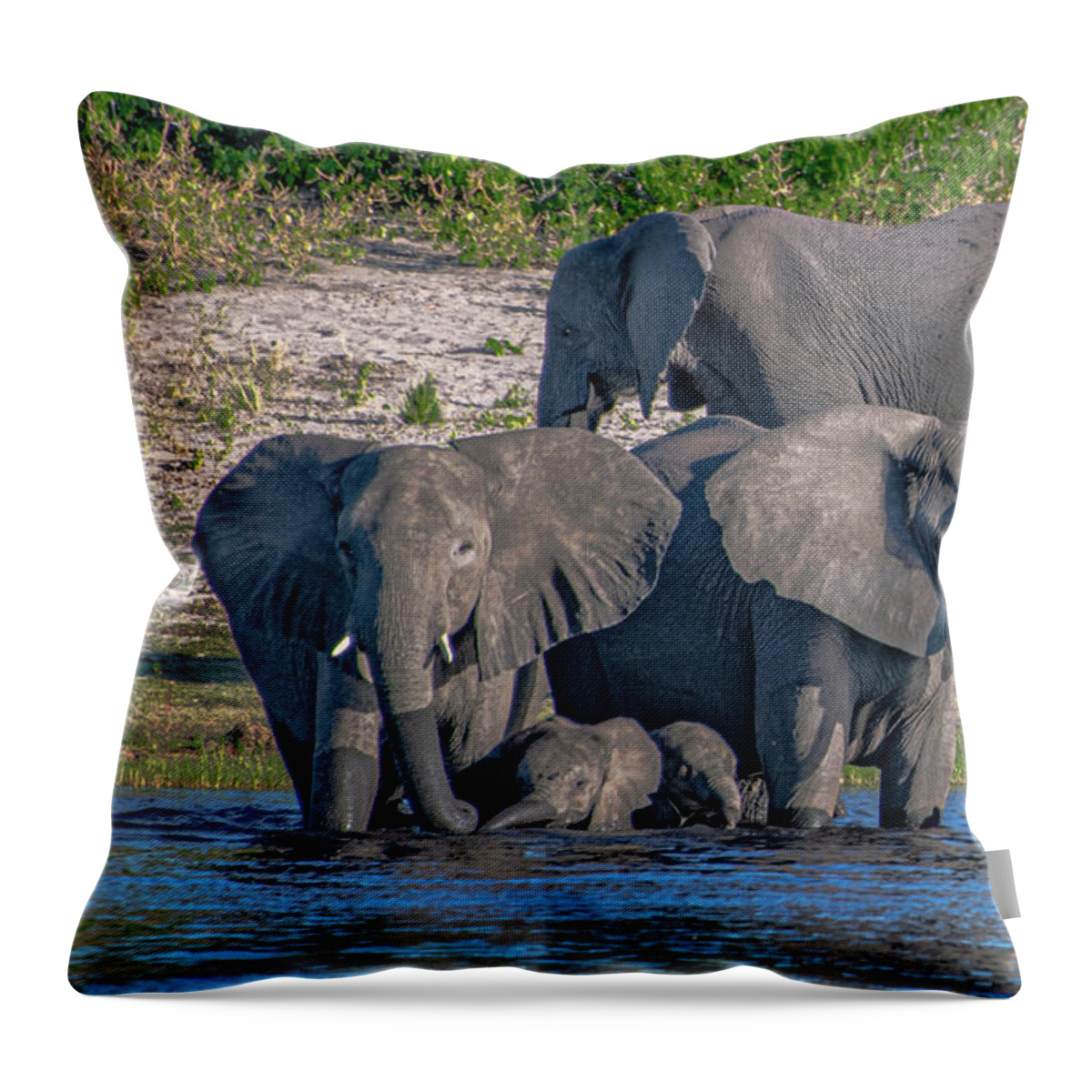 Elephants Throw Pillow featuring the photograph All in the Family by Marcy Wielfaert