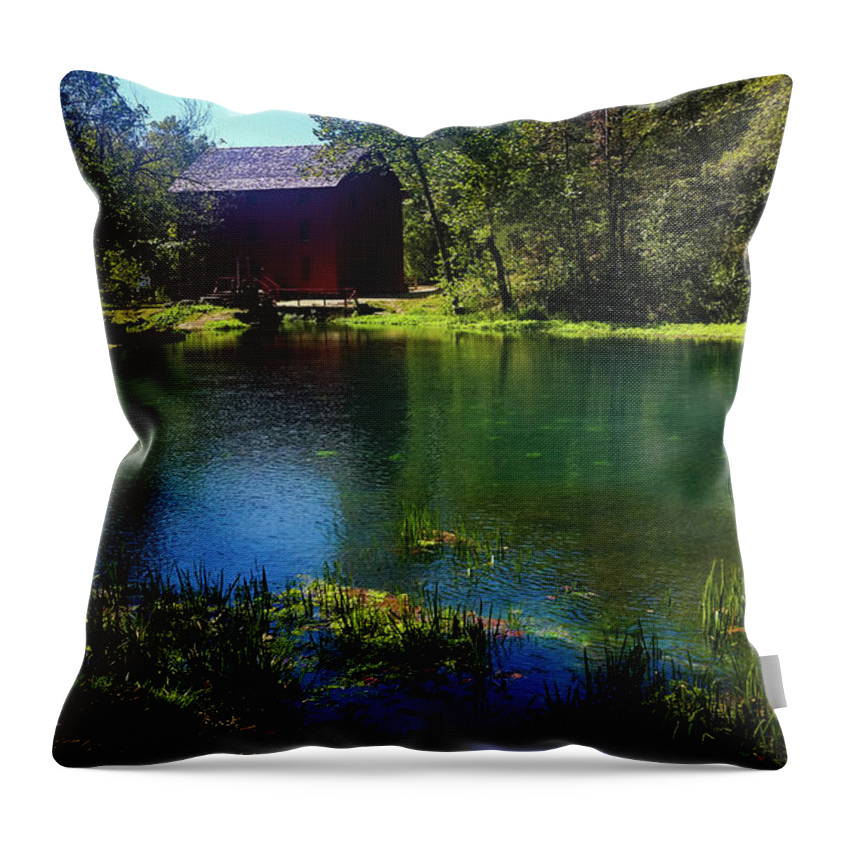 Alley Spring Throw Pillow featuring the photograph Alley Spring and Mill by Elizabeth M