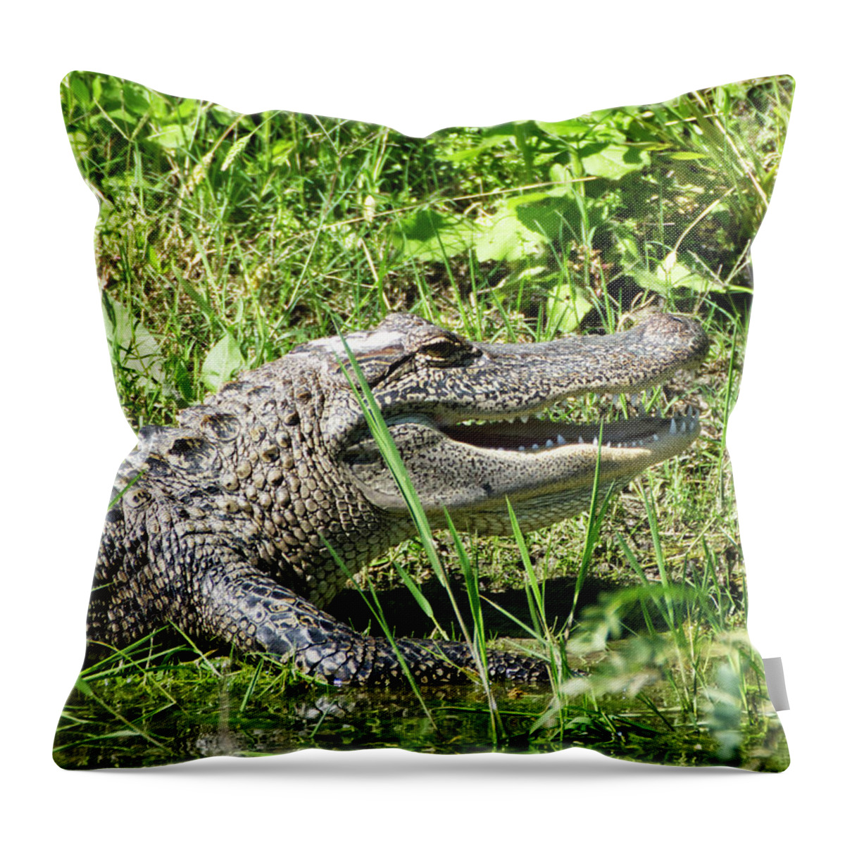Alligator Throw Pillow featuring the photograph Alligator Grin by Ty Husak