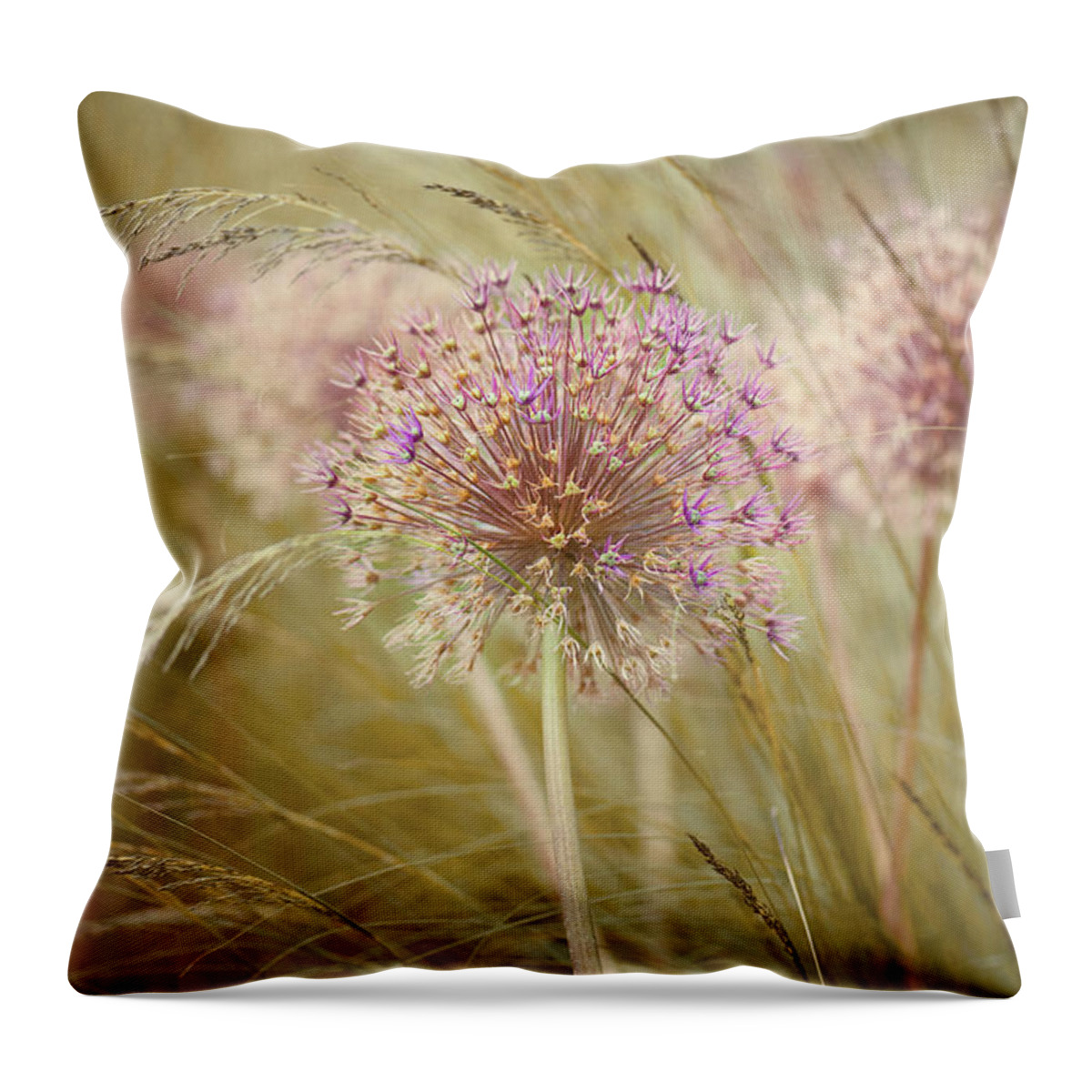 Grass Throw Pillow featuring the photograph Allium Purple Sensation by Jacky Parker Photography