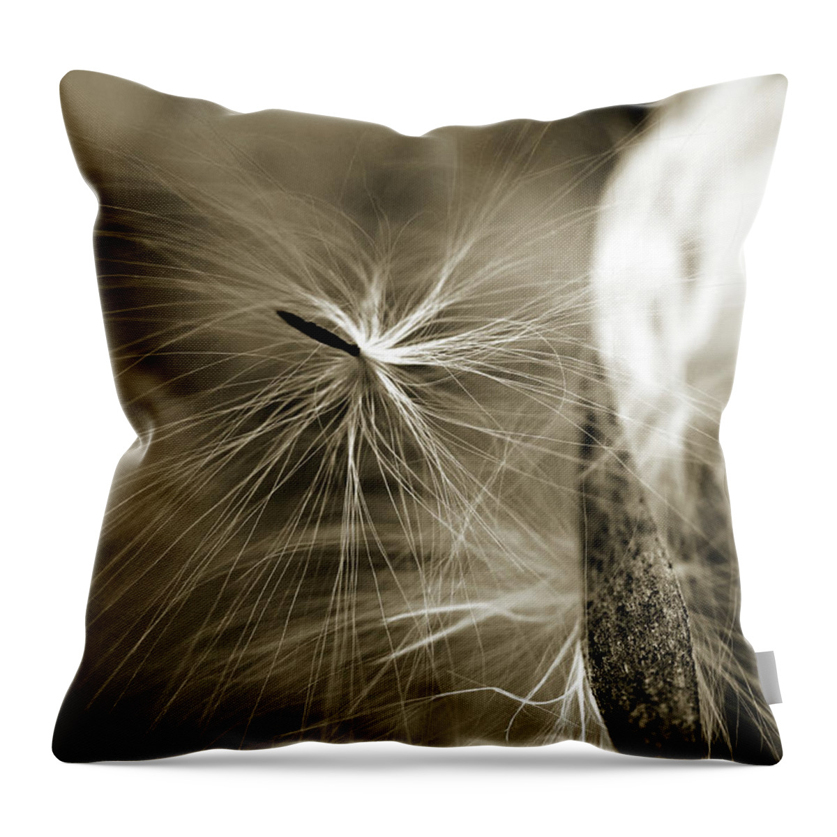 Sepia Throw Pillow featuring the photograph Almost by Michelle Wermuth