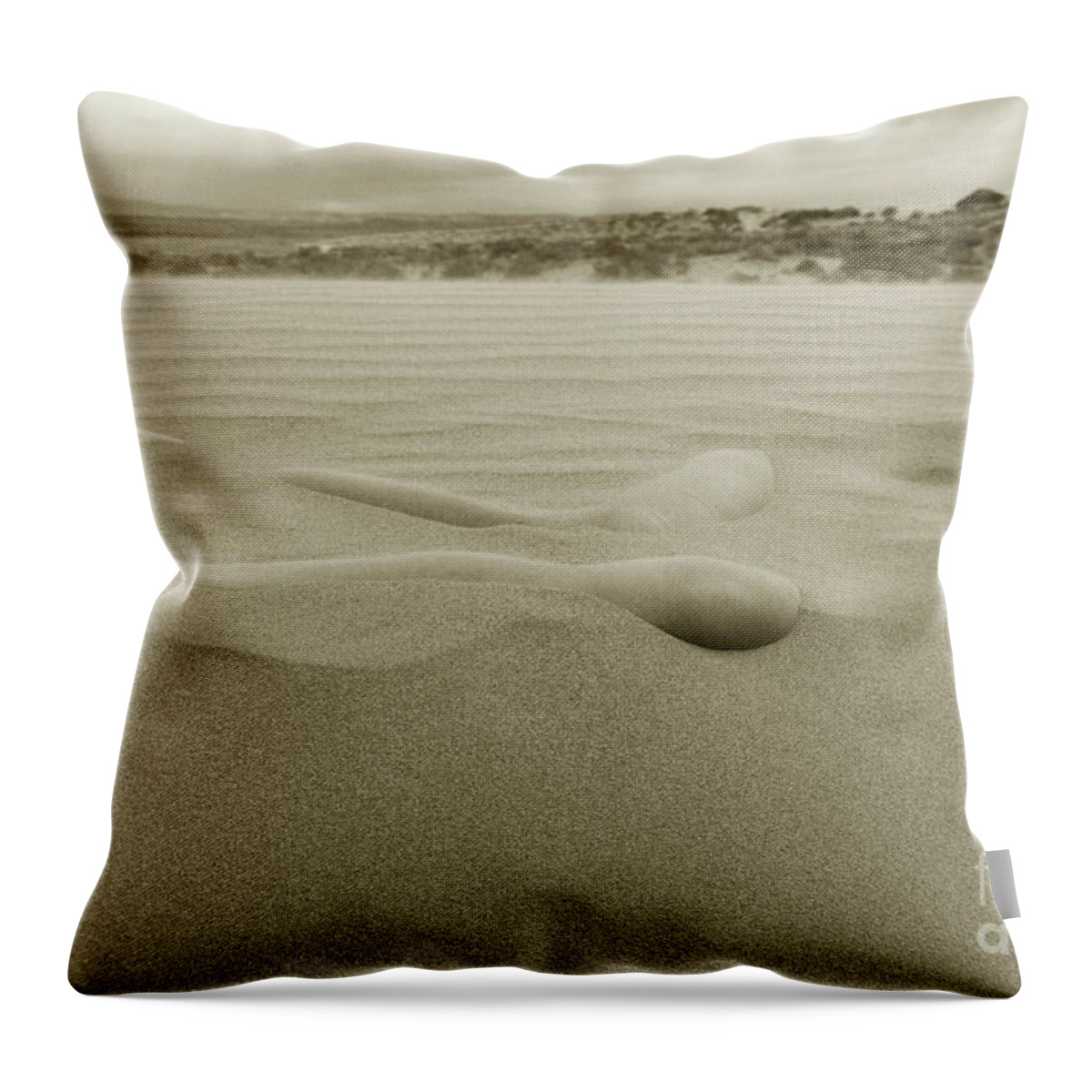 Sand Dunes Throw Pillow featuring the photograph Almost There by Robert WK Clark