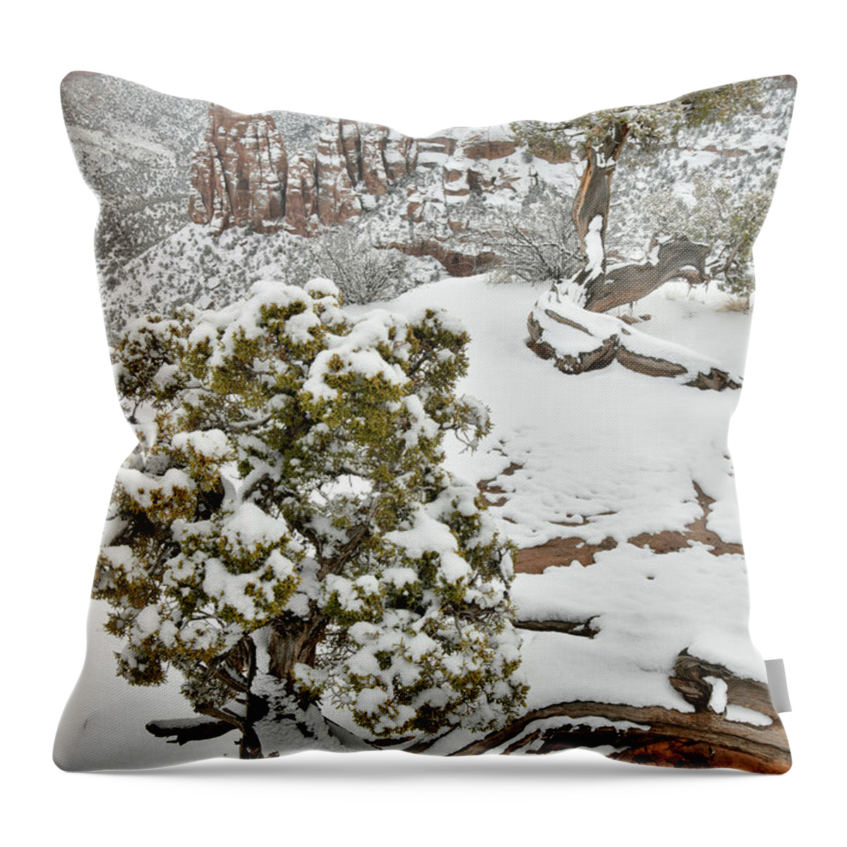 Colorado National Monument Throw Pillow featuring the photograph Along Rim Rock Drive in Colorado National Monument by Ray Mathis