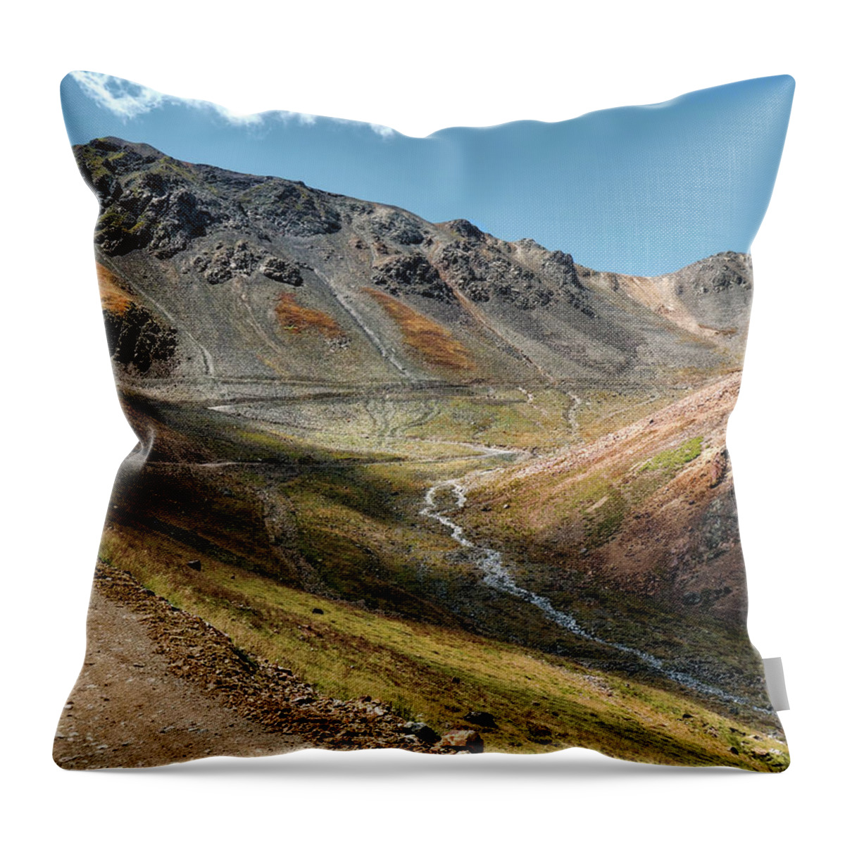 California Pass Throw Pillow featuring the photograph Alpine Tundra by Jim Hill