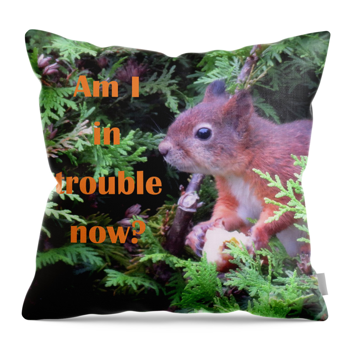 Squirrel Throw Pillow featuring the photograph Am I In Trouble Now Squirrel by Johanna Hurmerinta