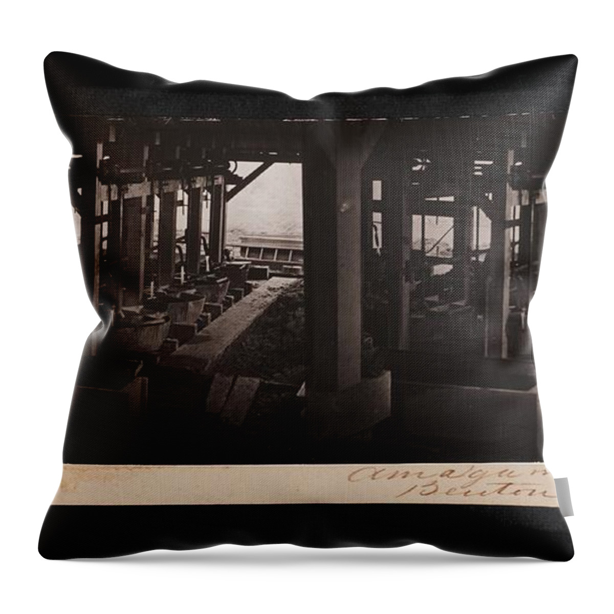 Health Throw Pillow featuring the painting Amalgamators  Benton Mill by Watkins Carleton E 1829 1916 by Celestial Images