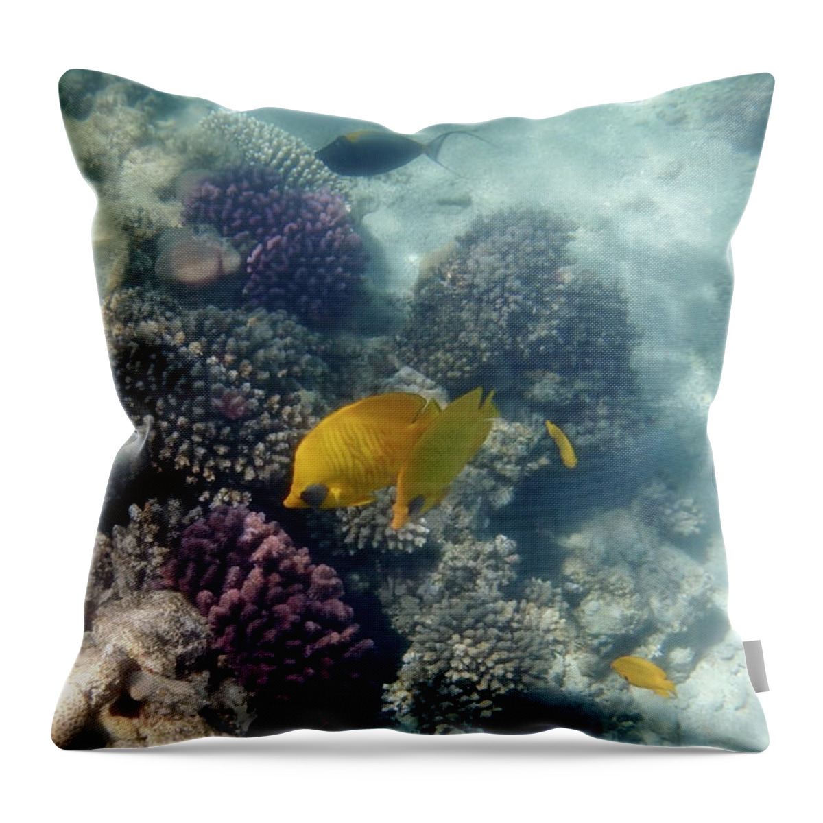 Underwater Throw Pillow featuring the photograph Amazing Beautiful And Fantastic Red Sea by Johanna Hurmerinta