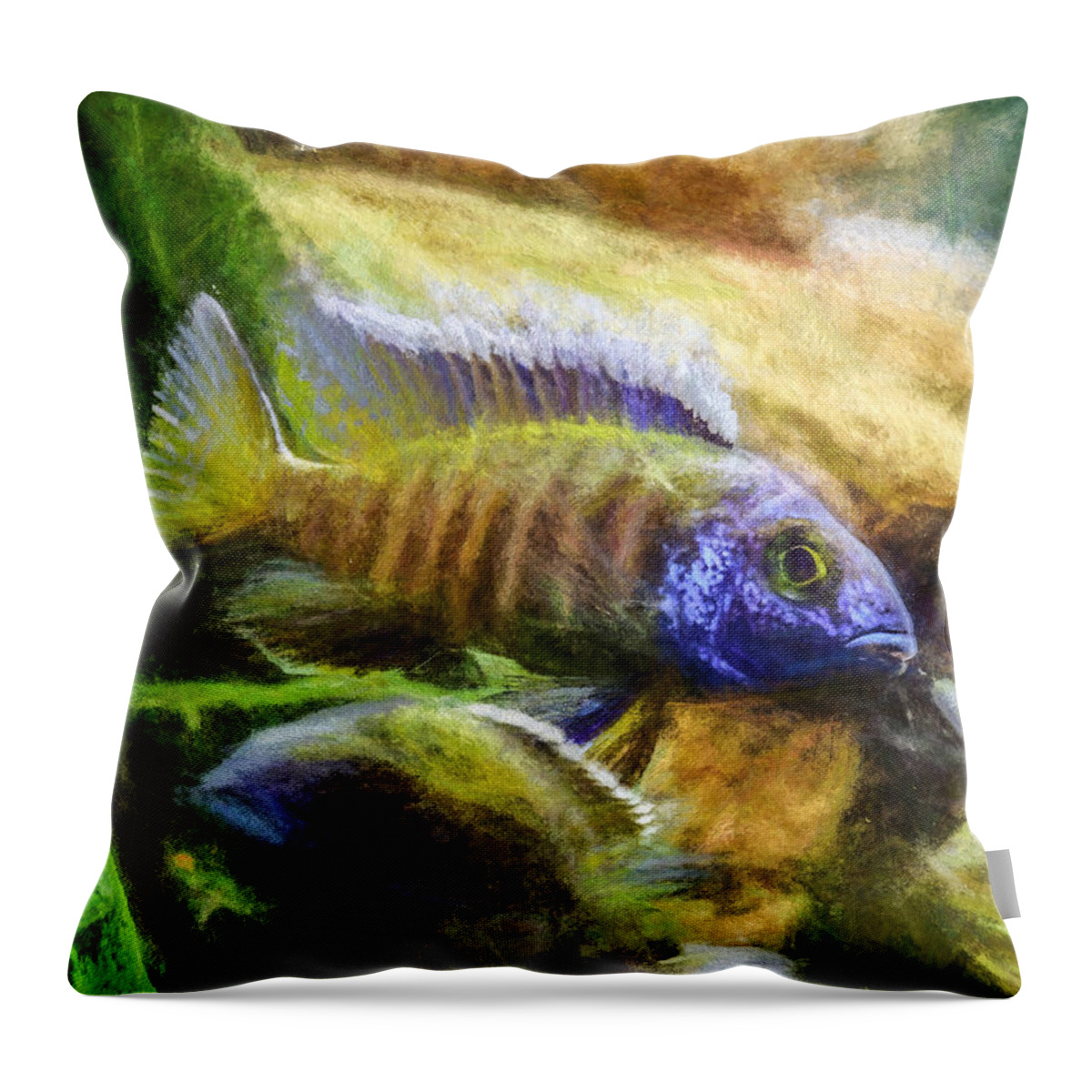 African Cichlid Throw Pillow featuring the digital art Amazing Peacock Cichlid by Don Northup