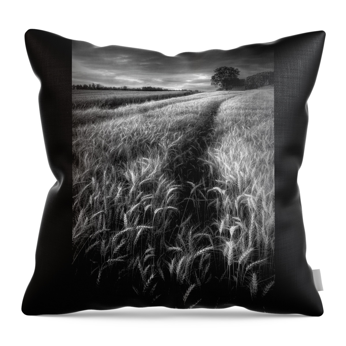 Austria Throw Pillow featuring the photograph Amber Waves of Grain in Black and White by Debra and Dave Vanderlaan