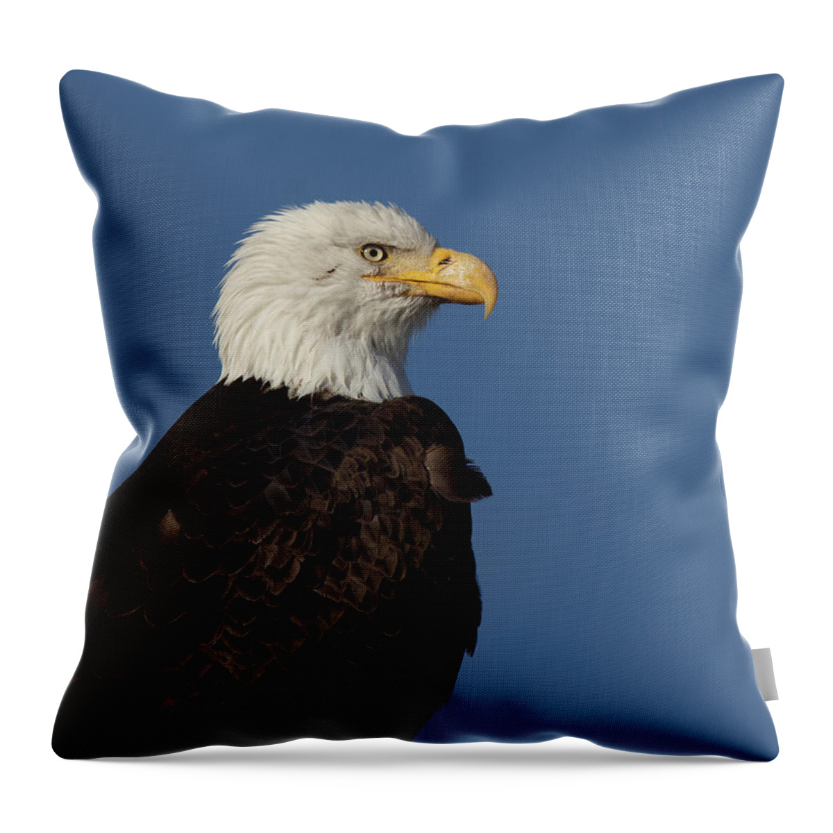 Raptor Throw Pillow featuring the photograph American Bald Eagle by Rick Mosher