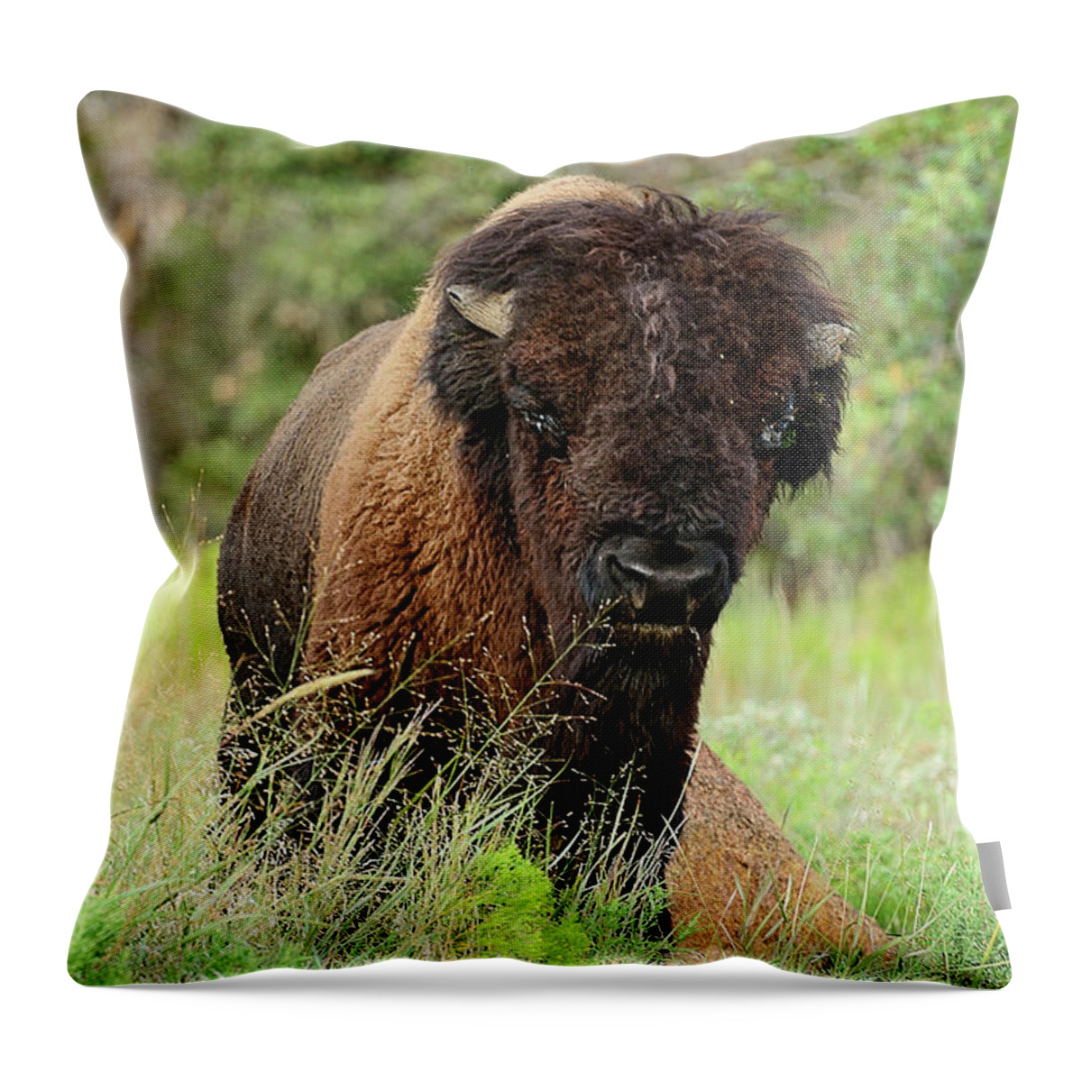 Estock Throw Pillow featuring the digital art American Bison by Heeb Photos