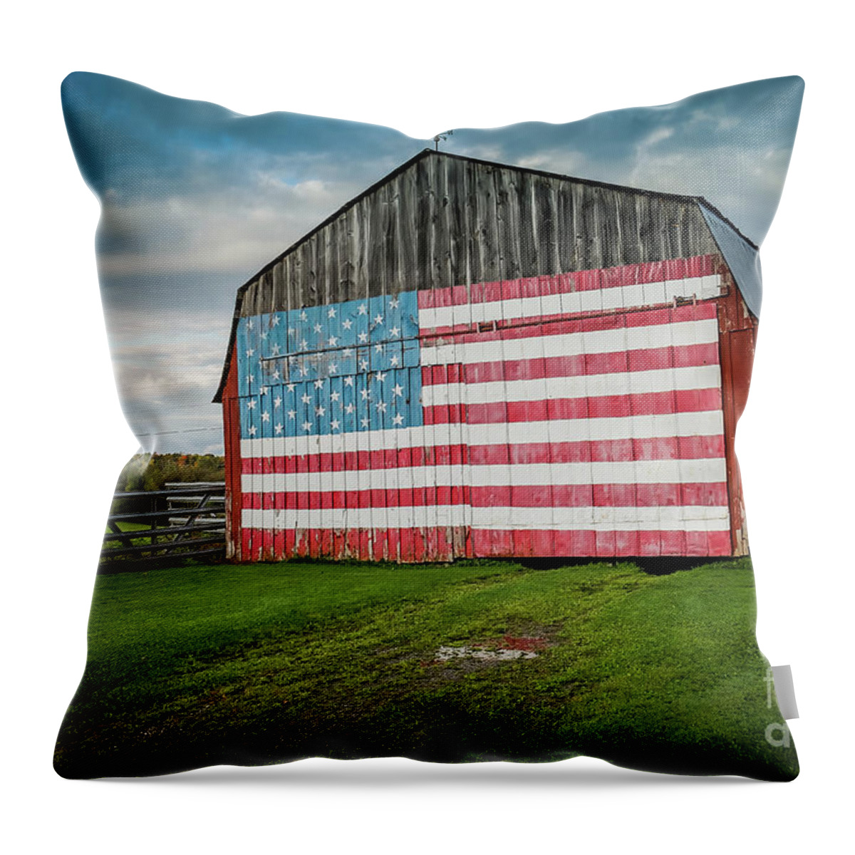 Grass Throw Pillow featuring the photograph American Flag On A Barn by D. Eugene Lee