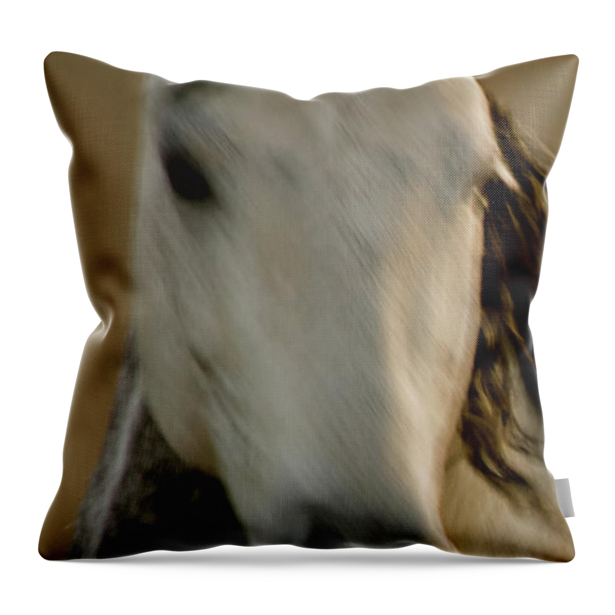 Andalusia Throw Pillow featuring the photograph Americano 1 by Catherine Sobredo