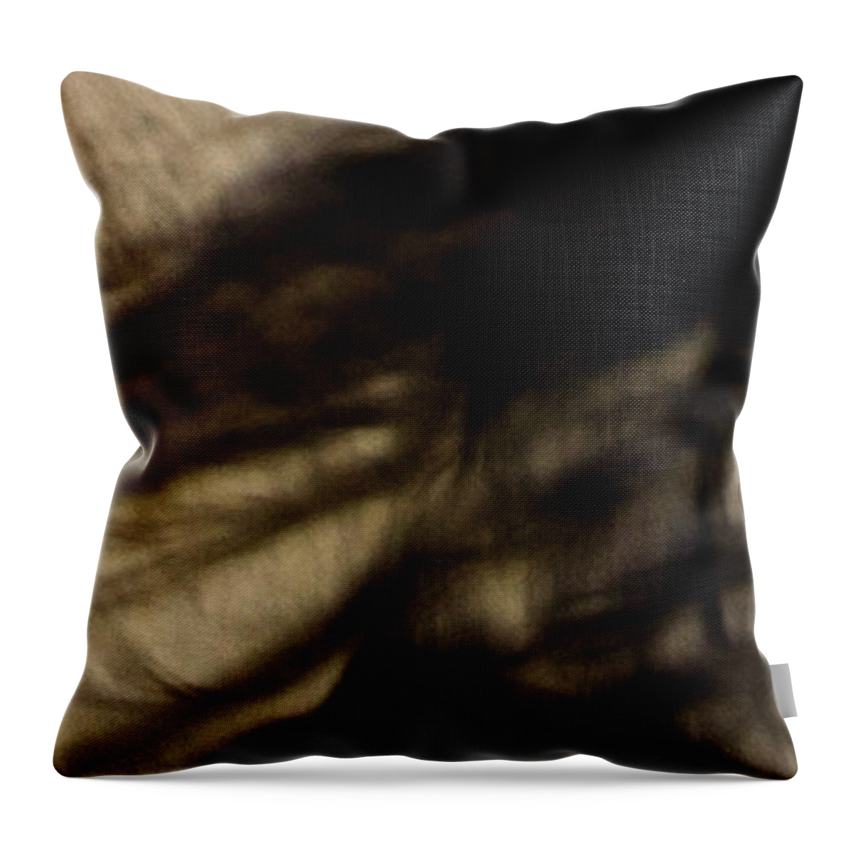 Andalusia Throw Pillow featuring the photograph Americano 8 by Catherine Sobredo