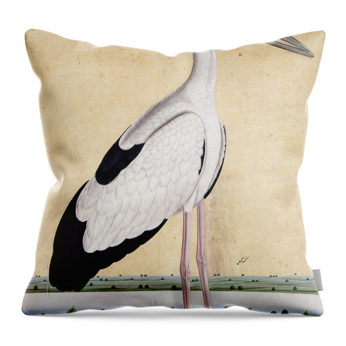 18th Century Throw Pillow featuring the painting An Open-beaked Stork, C. 1780 by Indian School