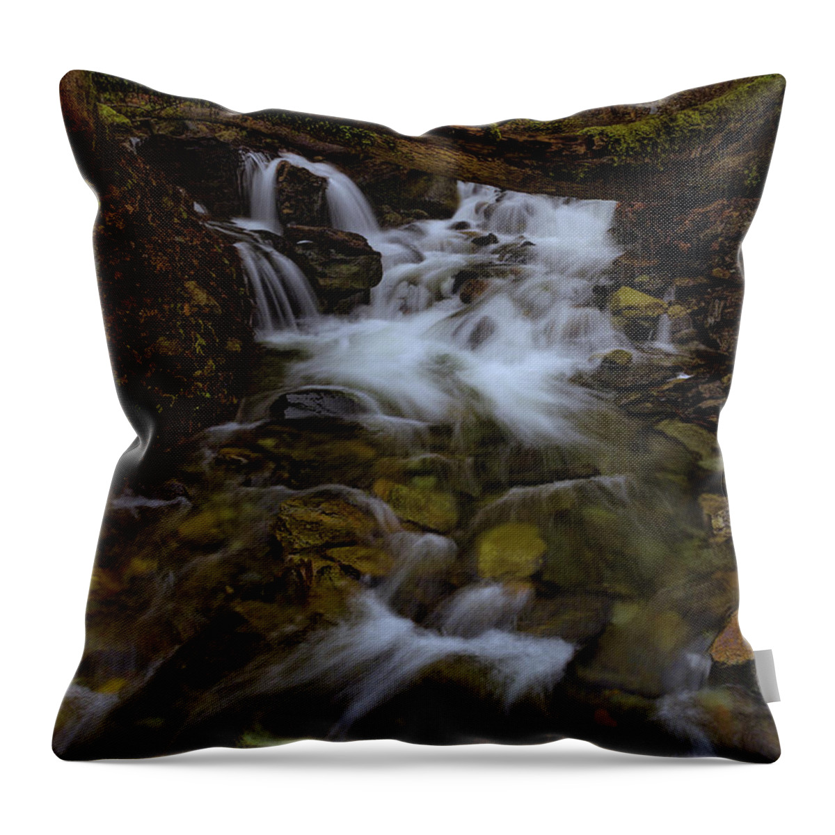 California Throw Pillow featuring the photograph An Unkown Creek in the Feather River Canyon by Don Hoekwater Photography