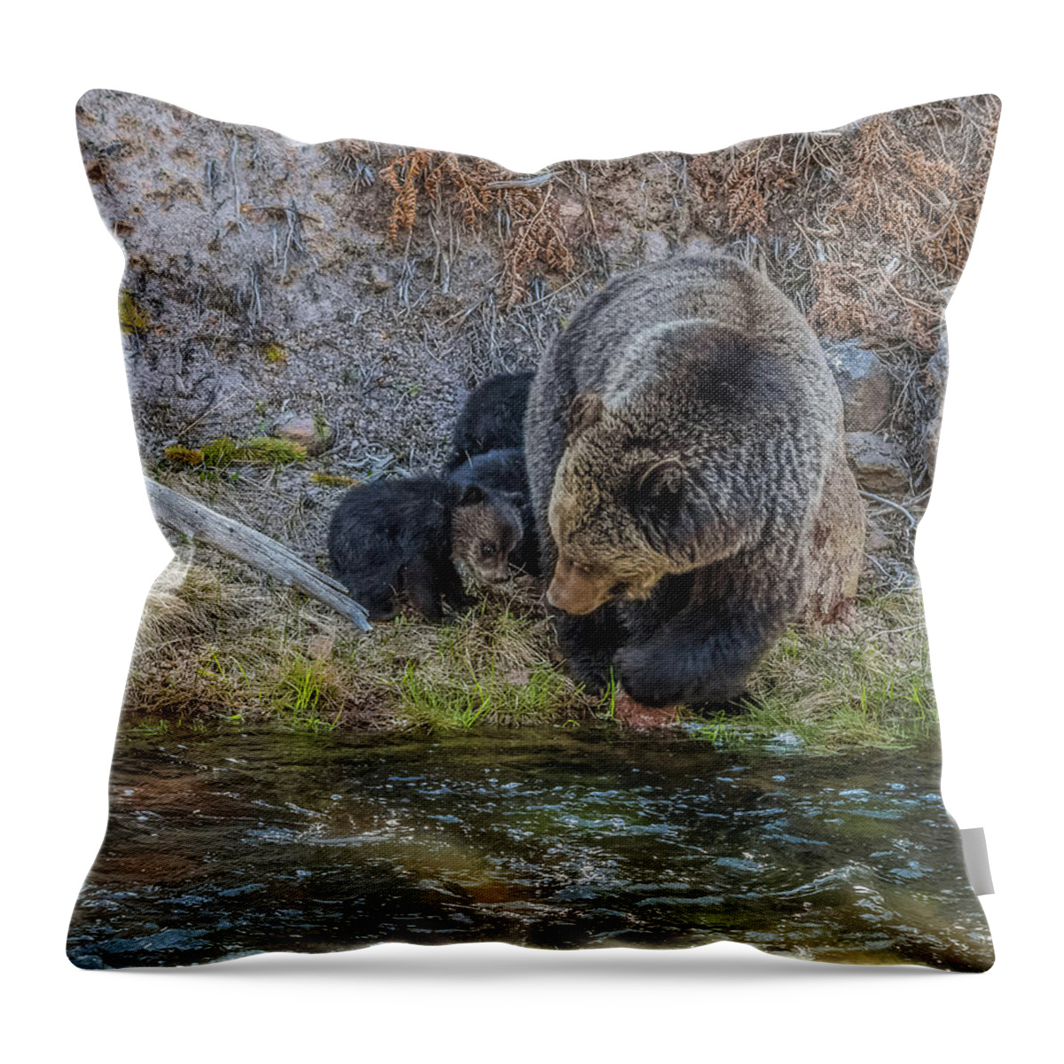 Bear Throw Pillow featuring the photograph And One Day You Will Swim by Yeates Photography
