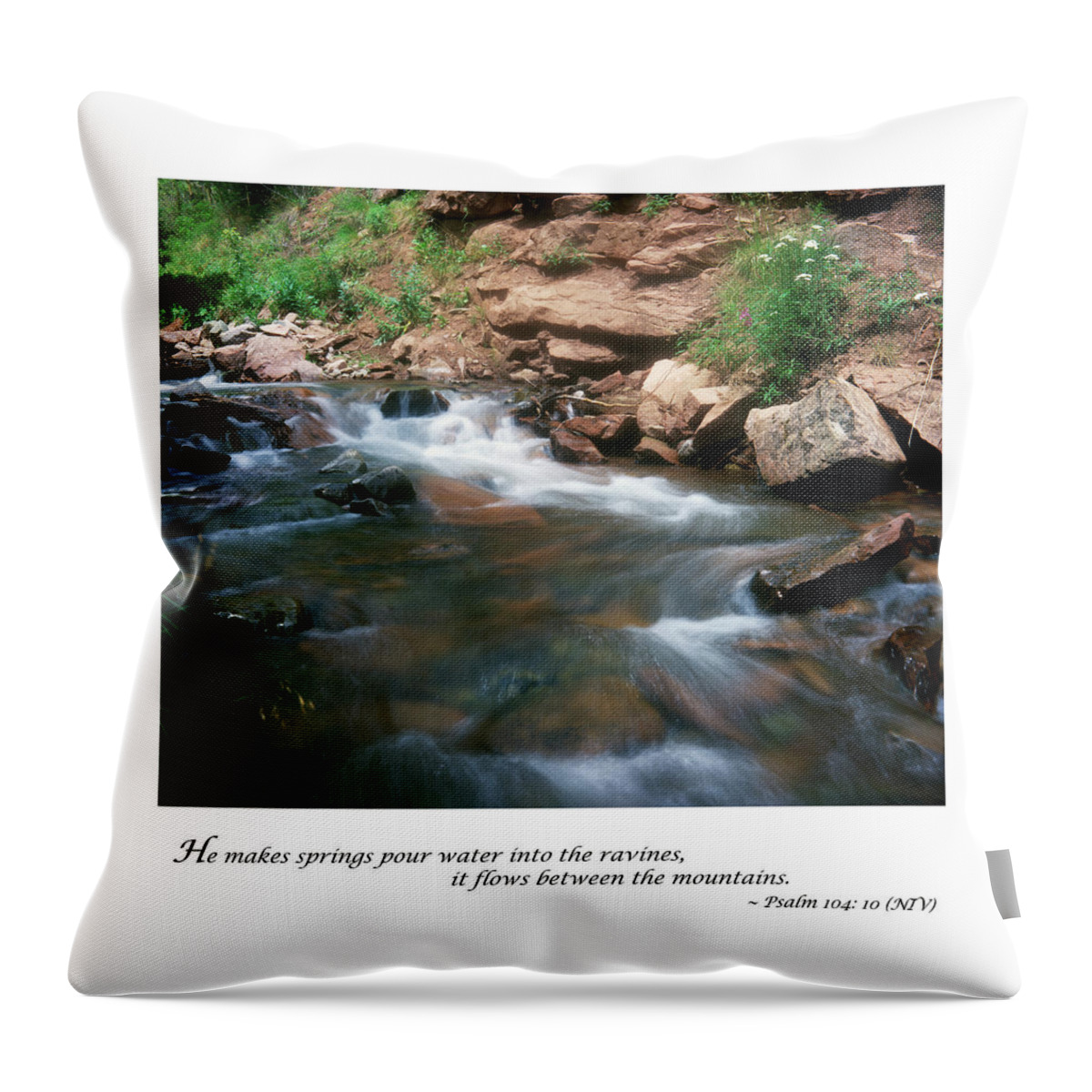 Richard E. Porter Throw Pillow featuring the photograph Angel Hair, Purgatory River-104th Psalm by Richard Porter