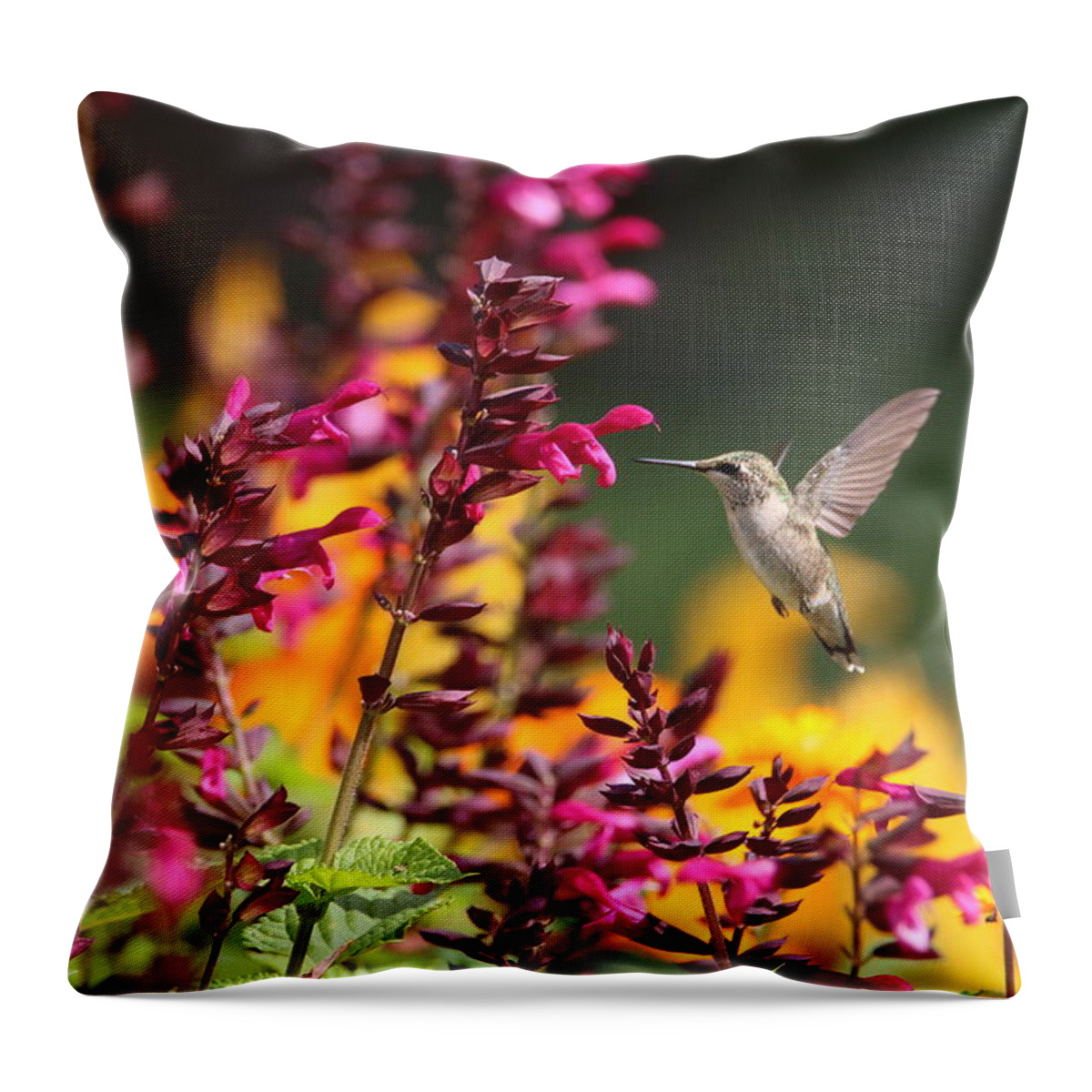Hummingbird Throw Pillow featuring the photograph Angel In The Garden by Living Color Photography Lorraine Lynch