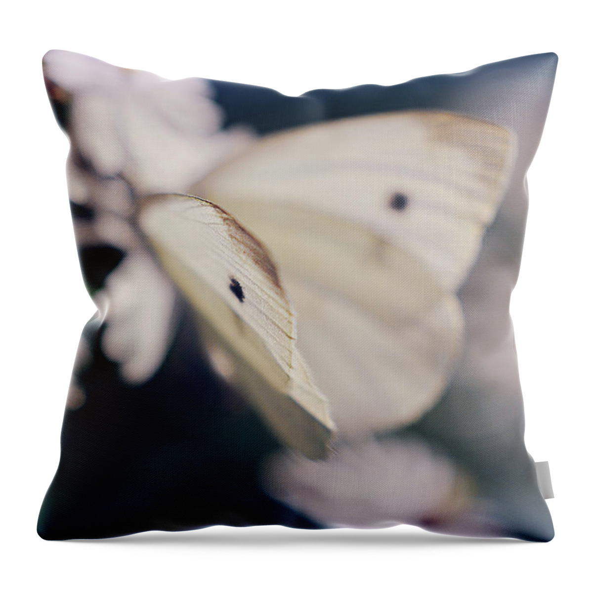 Blue Throw Pillow featuring the photograph Angelic by Michelle Wermuth
