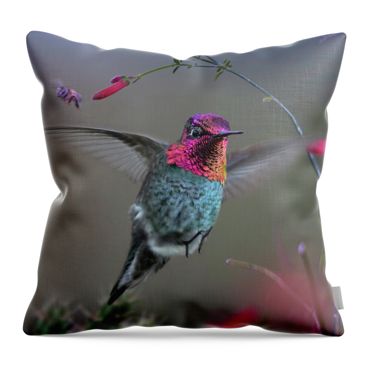 00557658 Throw Pillow featuring the photograph Anna's Hummingbird, Arizona by Tim Fitzharris
