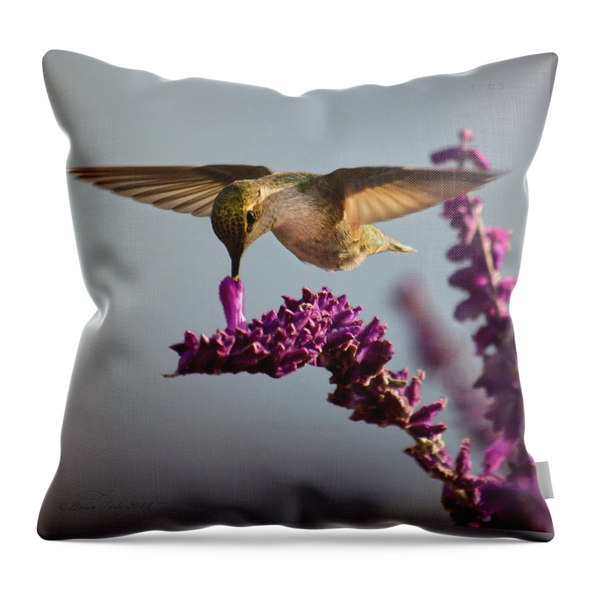 Wildlife Throw Pillow featuring the photograph Anna's Hummingbird Sipping Nectar from Salvia Flower by Brian Tada