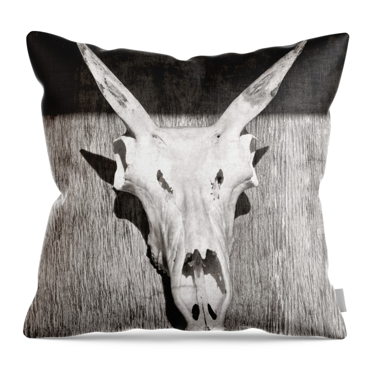 Kansas Throw Pillow featuring the photograph Antelope 005 by Rob Graham