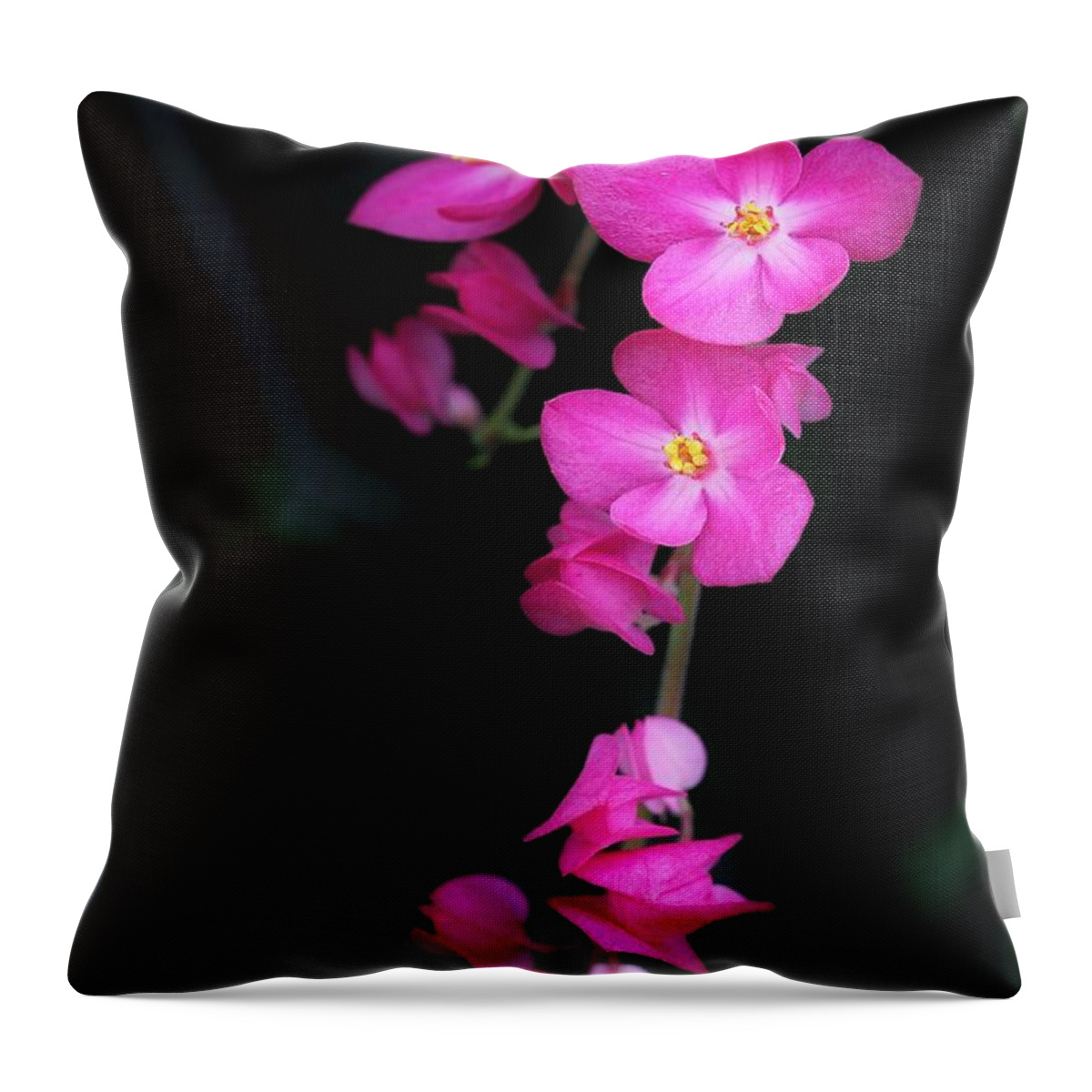 Hanging Throw Pillow featuring the photograph Antigonon Leptopus by Mauricio Mercadante