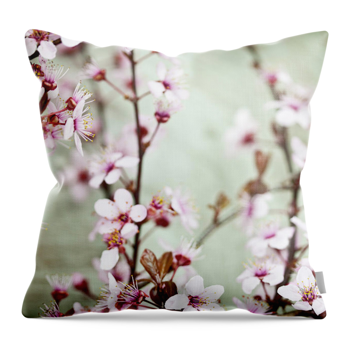 Bud Throw Pillow featuring the photograph Antiqued Cherry Blossom by Catlane
