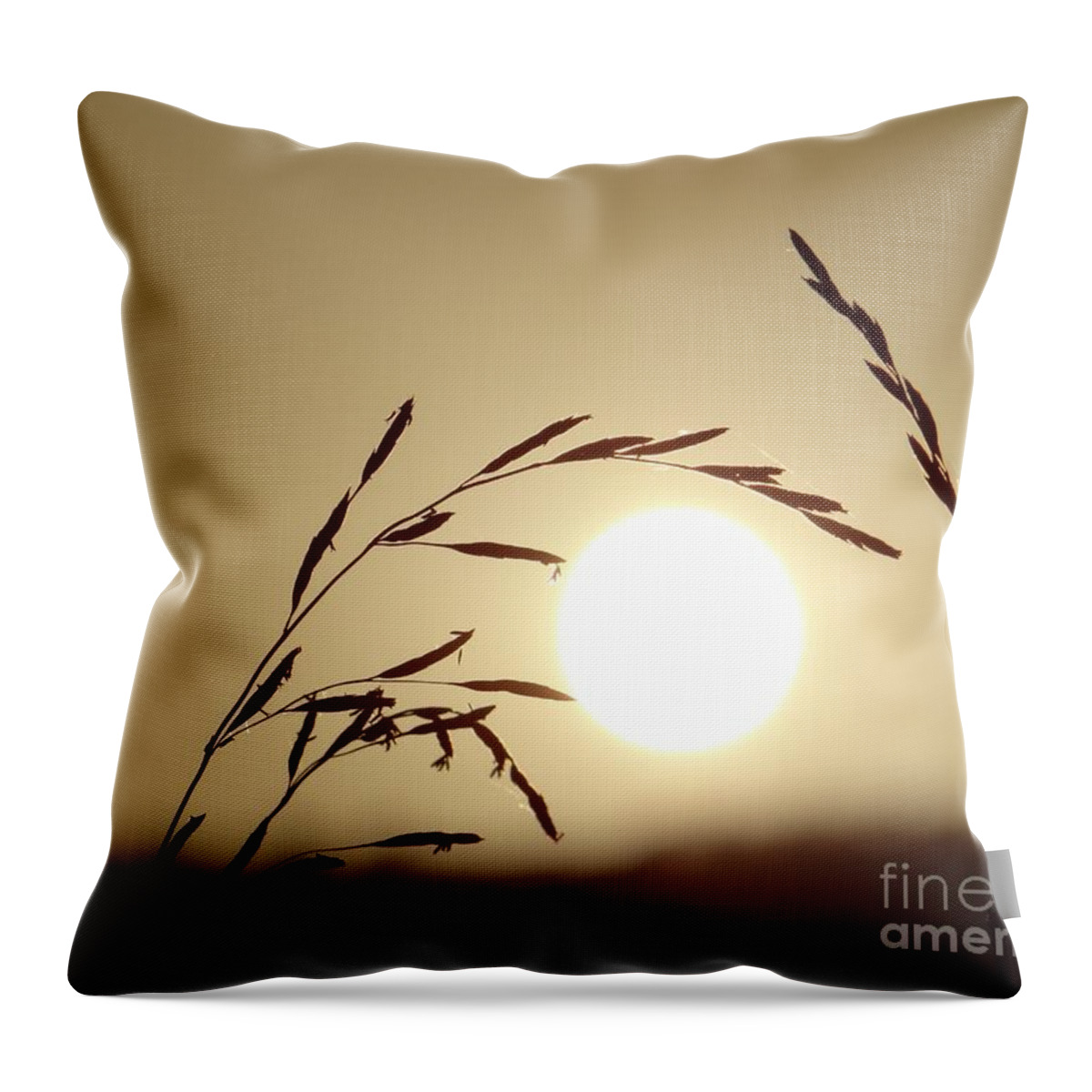 Sun Throw Pillow featuring the photograph Appreciation by Karin Ravasio
