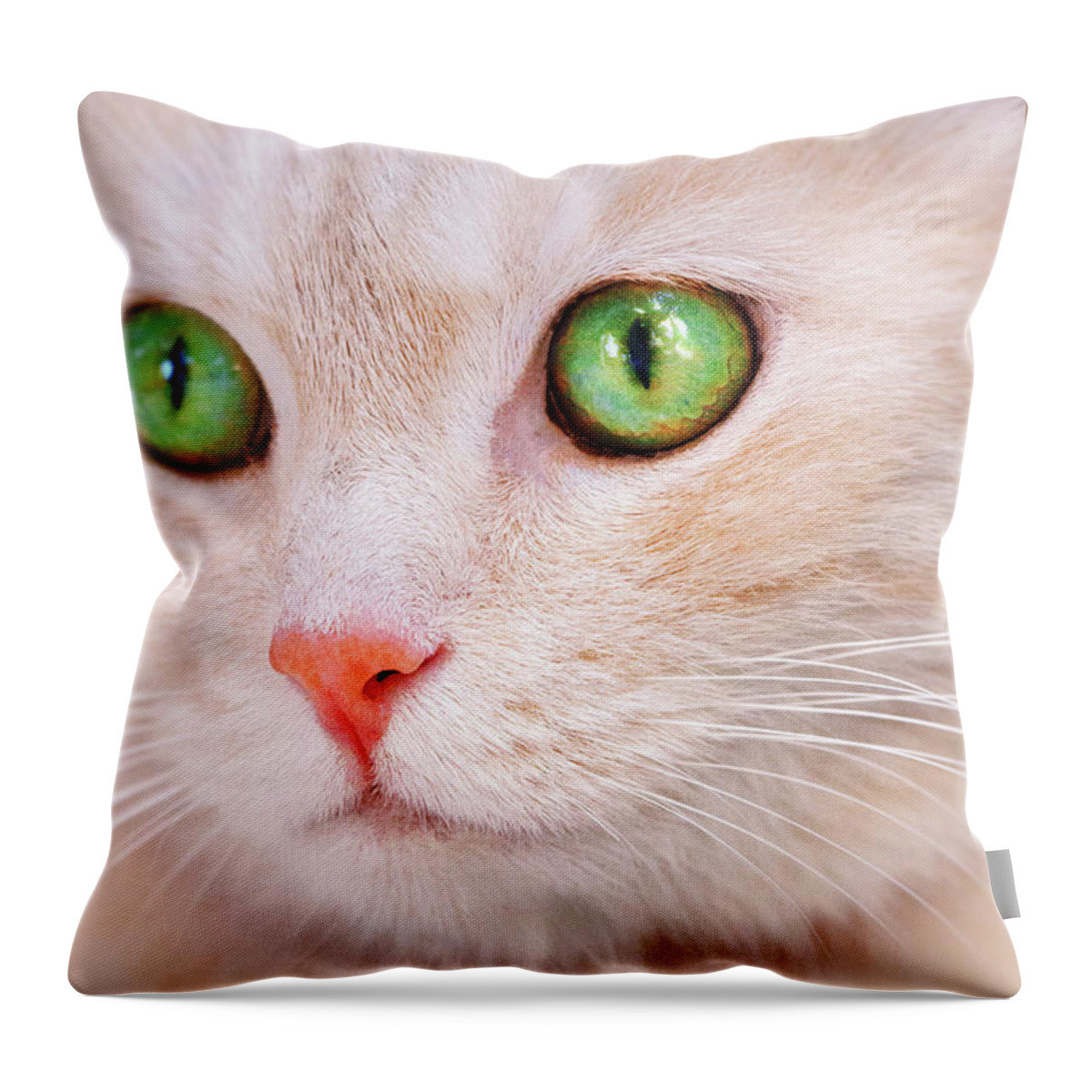 Cat Throw Pillow featuring the photograph Apricot Purrfection by Iryna Goodall