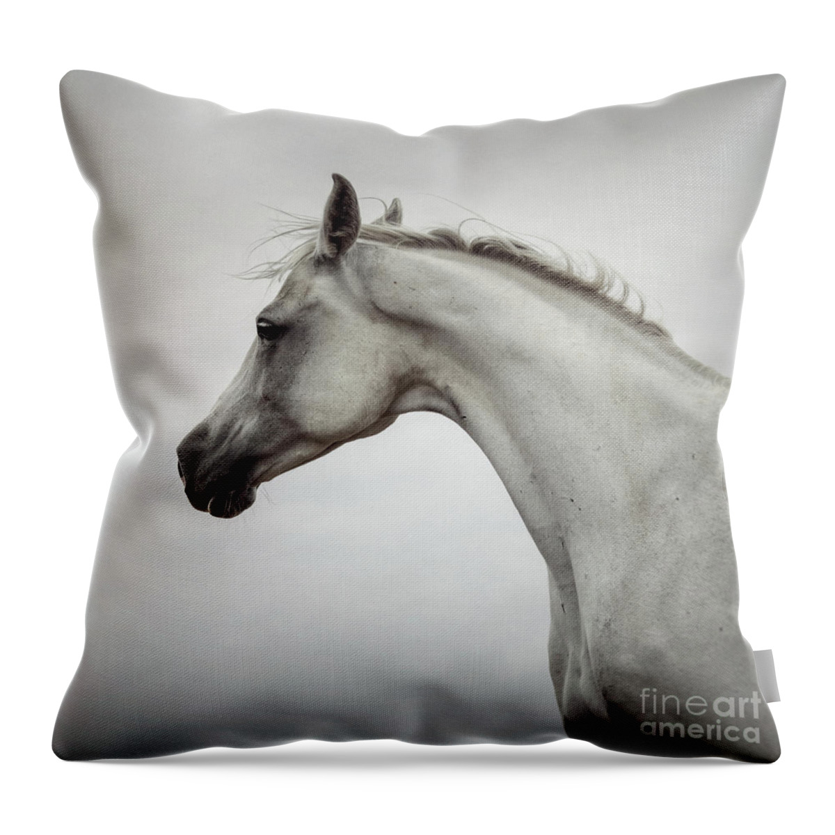 Horse Throw Pillow featuring the photograph Arabian Horse Portrait by Dimitar Hristov