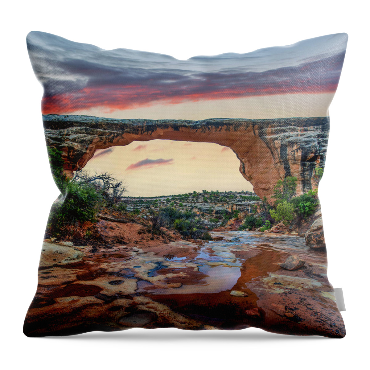 00567617 Throw Pillow featuring the photograph Arch, Owachomo Bridge, Natural Bridges Nm, Utah by Tim Fitzharris