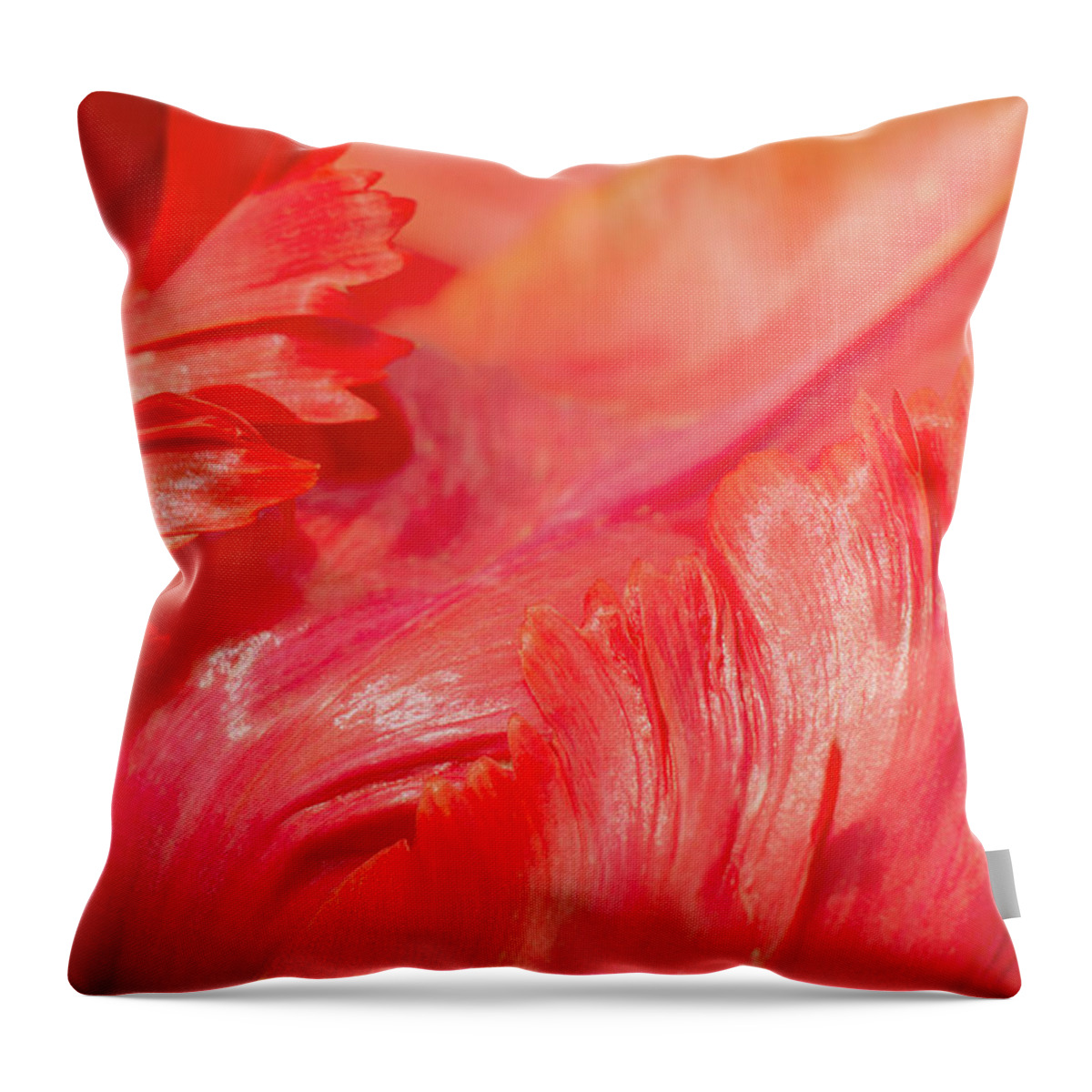 Tulip Throw Pillow featuring the photograph Ardent by Iryna Goodall
