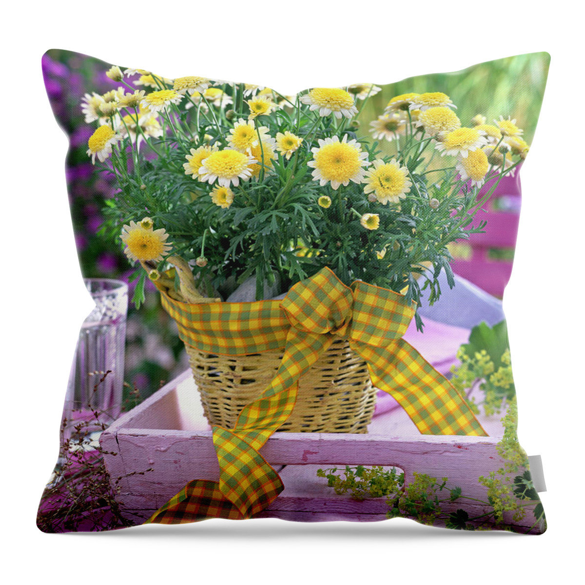 Ip_12140692 Throw Pillow featuring the photograph Argyranthemum 'pacific Gold' stuffed Marguerite by Friedrich Strauss