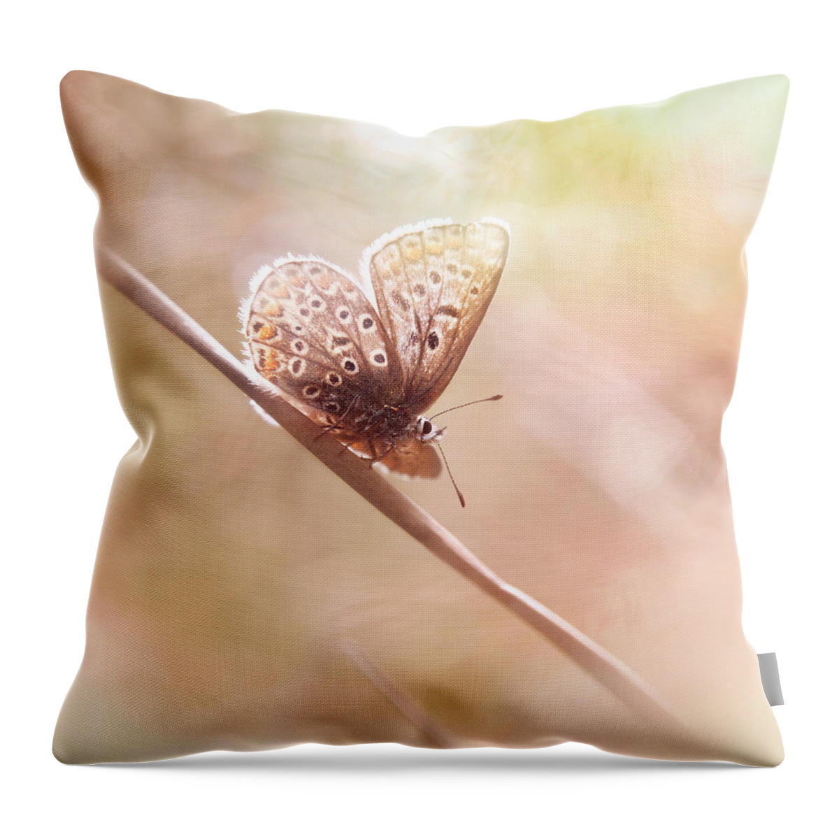 Butterfly Throw Pillow featuring the photograph Around The Meadow 5 by Jaroslav Buna