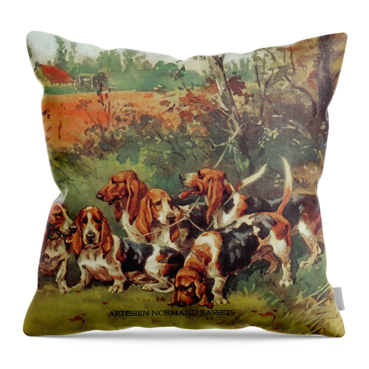 Dogs Throw Pillow featuring the painting Artesien Normand Bassets by Baron Karl Reille