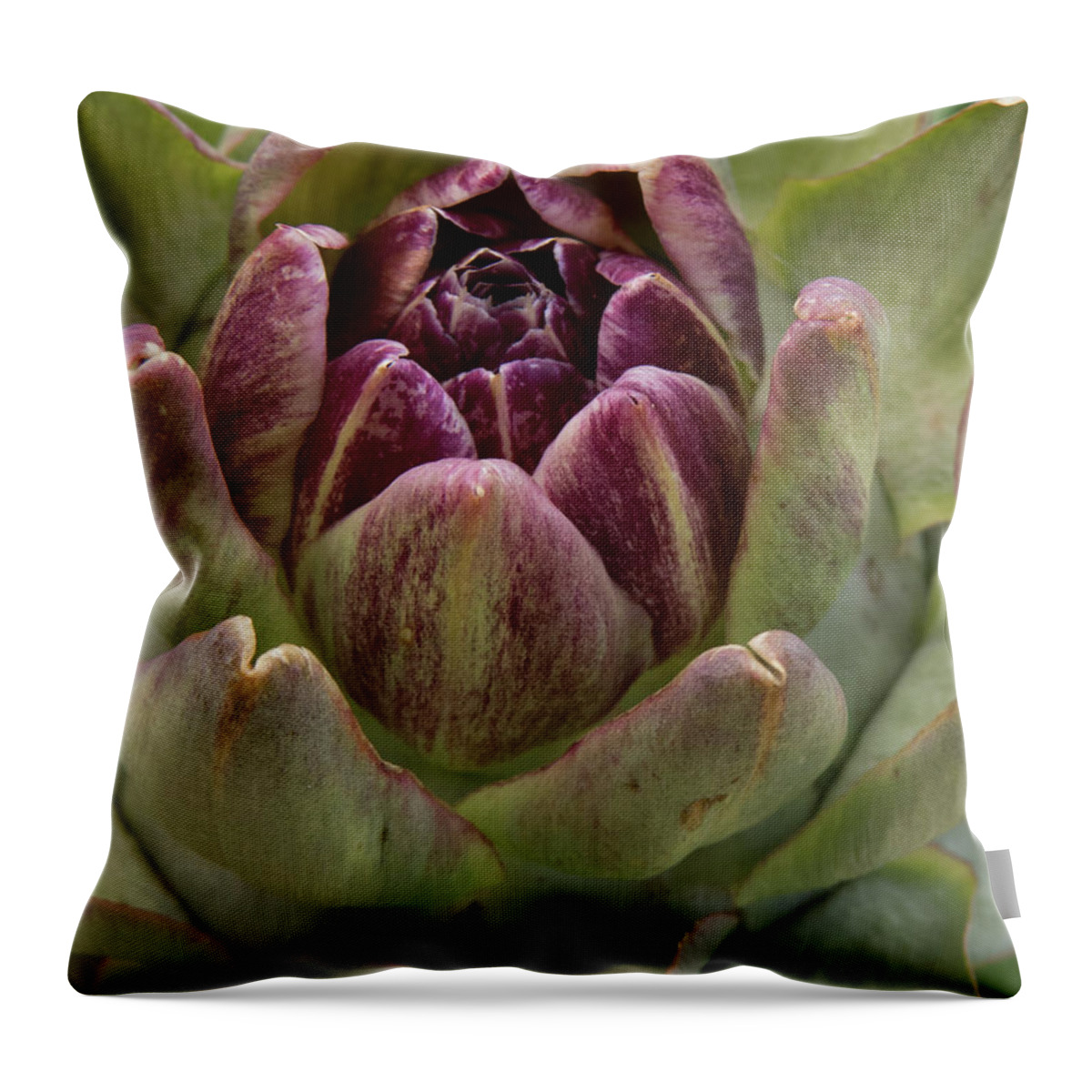 Artichoke Throw Pillow featuring the photograph Artichoke Plant by Christy Garavetto