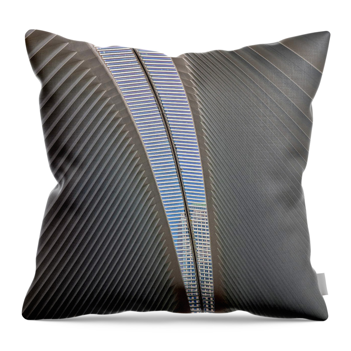 The Oculus Throw Pillow featuring the photograph Articulated Angles by Angelo Marcialis