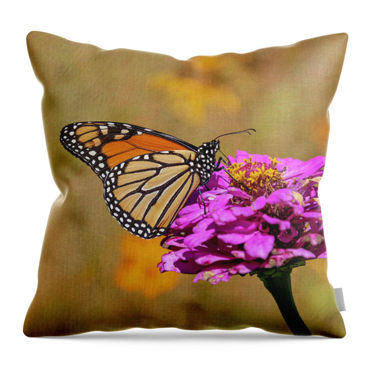 Monarch Butterfly Throw Pillow featuring the photograph Artistic Monarch 2018-1 by Thomas Young