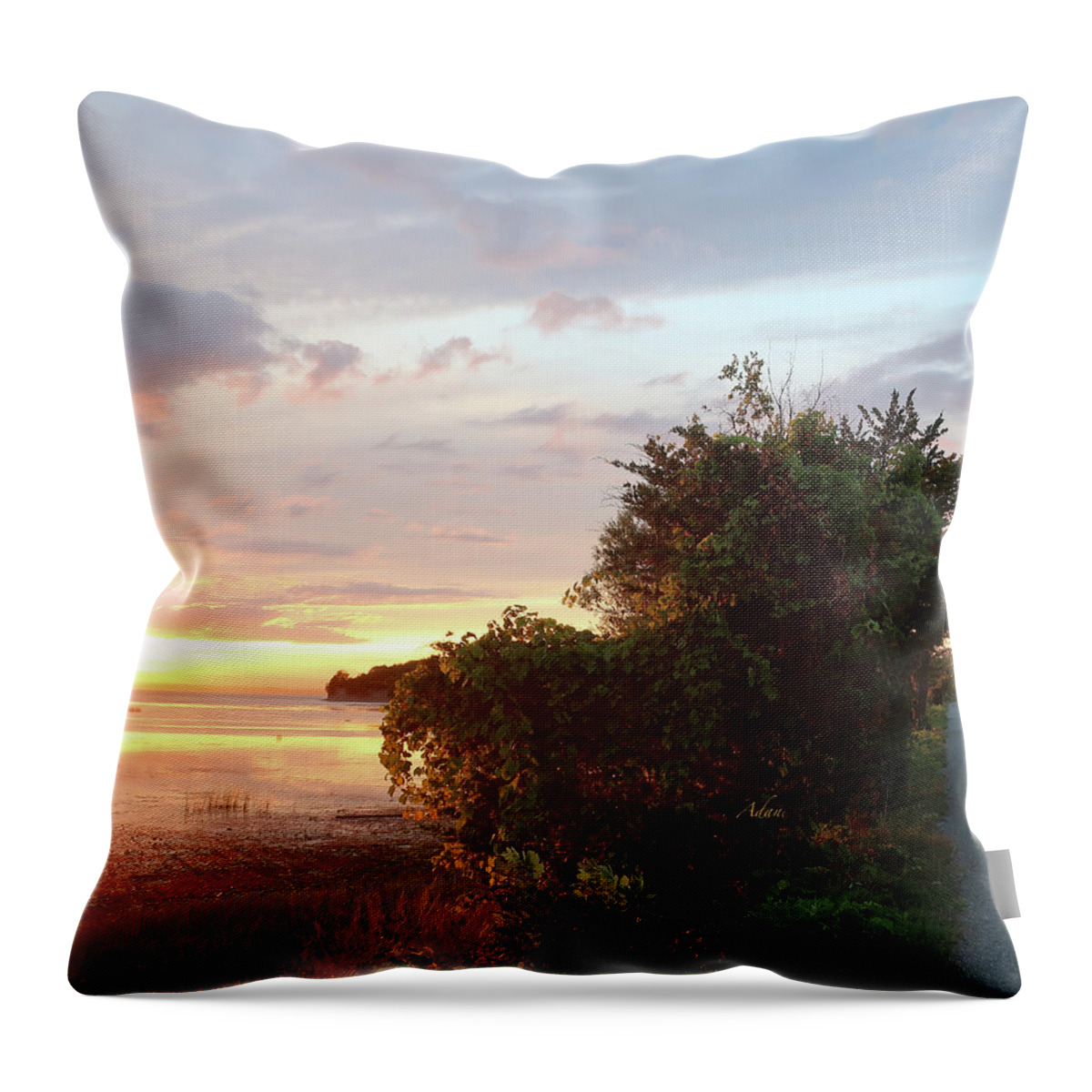 Island Line Trail Throw Pillow featuring the photograph Island Line Trail Sunset via Colchester Vertical by Felipe Adan Lerma