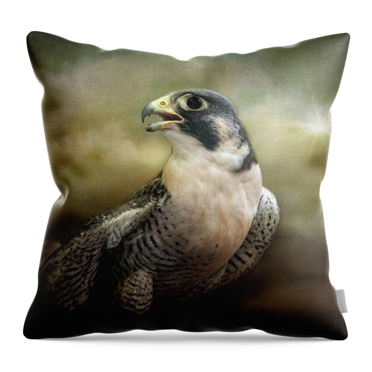 Peregrine Falcon Throw Pillow featuring the photograph Peregrine Falcon Stormy Dramatic Sky by Melissa Bittinger