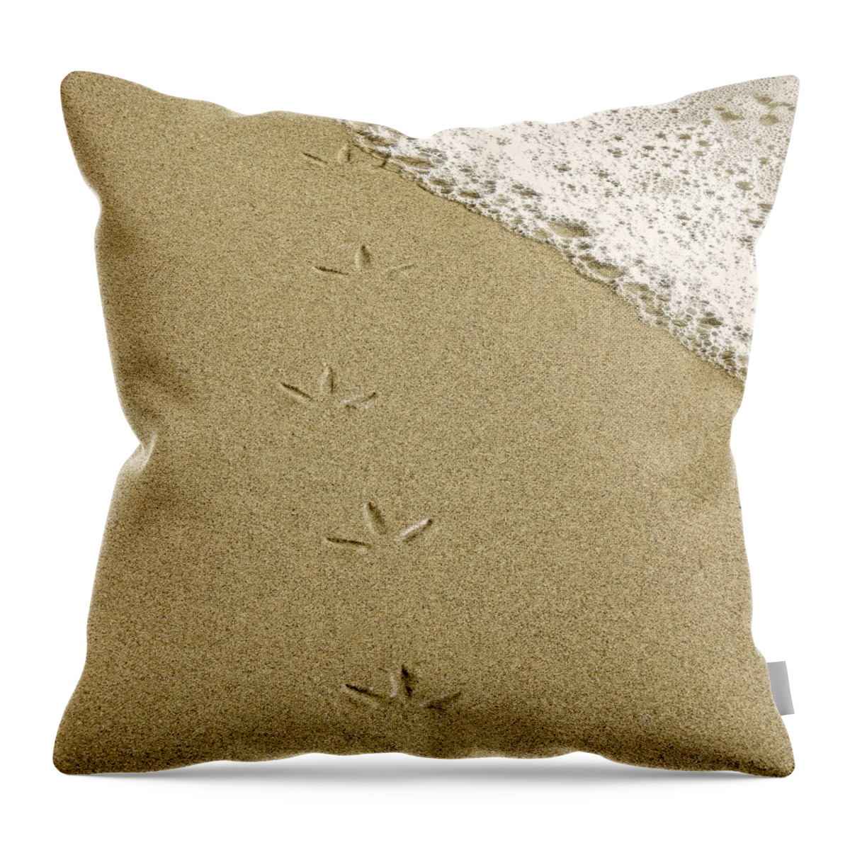Footprints Throw Pillow featuring the photograph Birdprints in the Sand by Beth Myer Photography